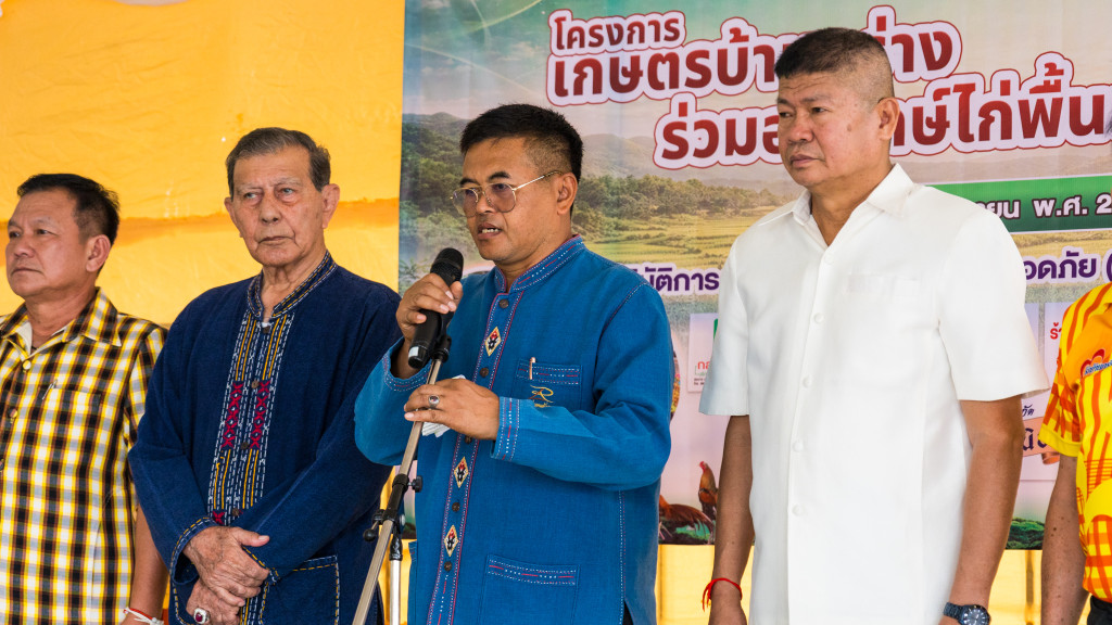 การประกวดไก่พื้นเมืองไทย 1