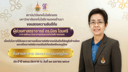 นิอร ช้างเผือก