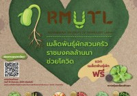 รูปภาพ : “ผักปลูกง่าย กินได้ในครัวเรือน”