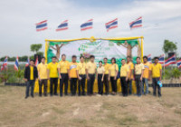 รูปภาพ : มทร.ล้านนา พิษณุโลก ร่วมกิจกรรมวันต้นไม้ประจำปีของชาติ 2568 ปลูกต้นไม้อนุรักษ์สิ่งแวดล้อม
