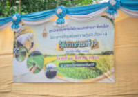 รูปภาพ : มทร.ล้านนา พิษณุโลก จัดโครงการ ถ่ายทอดความรู้และสืบสานวิถีการทำนาข้าว ประจำปีการศึกษา 2568