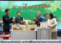 รูปภาพ : มทร.ล้านนา พิษณุโลก ชู สมุนไพรอินทรีย์ สร้างรายได้ให้ชุมชนทับยายเชียง