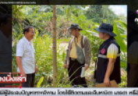 รูปภาพ : มทร.ล้านนา พิษณุโลก ชู สมุนไพรอินทรีย์ สร้างรายได้ให้ชุมชนทับยายเชียง