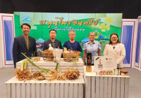 รูปภาพ : มทร.ล้านนา พิษณุโลก ชู สมุนไพรอินทรีย์ สร้างรายได้ให้ชุมชนทับยายเชียง