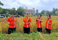 รูปภาพ : กลุ่มแผนงานใต้ร่มพระบารมี จัดกิจกรรม นาปันสุข เฉลิมพระเกียรติเกี่ยวข้าวเพื่อแผ่นดิน  สืบสาน รักษา ต่อยอด ด้านการพัฒนาการเกษตร ณ ศูนย์เรียนรู้เศรษฐกิจพอเพียง มทร.ล้านนา (ดอยสะเก็ด)