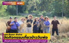 มทร.ล้านนา ลำปาง จัดกิจกรรมเกี่ยวข้าววันพ่อ เพื่ออนุรักษ์สายพันธุ์ข้าว “ธัญสิริน” ให้เป็นสายพันธุ์ข้าวบริสุทธิ์