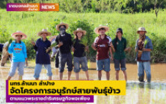 มทร.ล้านนา ลำปาง จัดโครงการอนุรักษ์สายพันธุ์ข้าว ตามแนวพระราชดำริเศรษฐกิจพอเพียง  