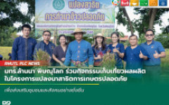 มทร.ล้านนา พิษณุโลก ร่วมกิจกรรมเก็บเกี่ยวผลผลิตในโครงการแปลงนาสาธิตการเกษตรปลอดภัย เพื่อส่งเสริมชุมชนและสังคมอย่างยั่งยืน