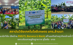 สวก.มทร.ล้านนา คณะนักวิจัยฯ เปิดบ้าน RMUTL Banana U-Bank สร้างเครือข่ายธุรกิจกล้วยน้ำว้า  ยกระดับเศรษฐกิจฐานราก สุโขทัย - ตาก