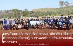 มทร.ล้านนา เชียงราย จัดกิจกรรม “เกี่ยวข้าว เกี่ยวสุข” ถ่ายทอดองค์ความรู้เกษตรพอเพียง สร้างความมั่นคงทางอาหาร