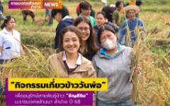 มทร.ล้านนา ลำปาง จัดกิจกรรมเกี่ยวข้าววันพ่อ เพื่ออนุรักษ์สายพันธุ์ข้าว “ธัญสิริน” ให้เป็นสายพันธุ์ข้าวบริสุทธิ์