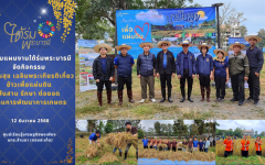 กลุ่มแผนงานใต้ร่มพระบารมี จัดกิจกรรม นาปันสุข เฉลิมพระเกียรติเกี่ยวข้าวเพื่อแผ่นดิน  สืบสาน รักษา ต่อยอด ด้านการพัฒนาการเกษตร ณ ศูนย์เรียนรู้เศรษฐกิจพอเพียง มทร.ล้านนา (ดอยสะเก็ด)