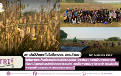 สวก. มทร.ล้านนา โครงการเก็บเกี่ยวเมล็ดพันธุ์พืชคลุมดิน (ปอเทือง) ถวายเป็นพระราชกุศลเนื่องในโอกาสวันคล้ายวันพระราชสมภพ สมเด็จพระกนิษฐาธิราชเจ้า กรมสมเด็จพระเทพรัตนราชสุดาฯ สยามบรมราชกุมารี