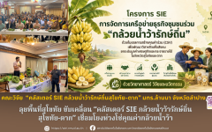 คณะวิจัย มทร.ล้านนา ลำปาง ลุยพื้นที่สุโขทัย ขับเคลื่อน “คลัสเตอร์ SIE กล้วยน้ำว้ารักษ์ถิ่นสุโขทัย-ตาก” เชื่อมโยงห่วงโซ่คุณค่ากล้วยน้ำว้า