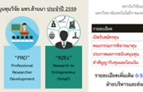 รูปภาพ : ประชาสัมพันธ์ทุนวิจัย ประจำปี 2559