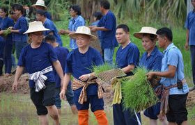 รูปภาพ : โครงการ ราชมงคลร่วมใจสืบสานวิถีข้าวไทย ด้วยการดำนา “ปลูกข้าววันแม่ เก็บเกี่ยววันพ่อ”