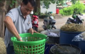 รูปภาพ : มทร.ล้านนา ลำปาง เป็นวิทยากรจัดอบรมเพาะเห็ดฟางในตะกร้า ถ่ายทอดองค์ความรู้สู่ชุมชน