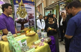 รูปภาพ : คลินิคเทคโนโลยี มทร.ล้านนา ลำปาง ร่วมจัดนิทรรศการงาน LANNA EXPO 2017