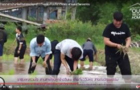 รูปภาพ : มทร.ล้านนา จัดกิจกรรมราชมงคลร่วมใจ สานสายใยปลูกวันแม่ เก็บเกี่ยววันพ่อ สานต่อวัฒนธรรม