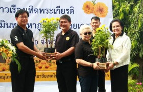 รูปภาพ : โครงการปลูกดอกดาวเรืองเทิดพระเกียรติ พระบาทสมเด็จพระปรมินทรมหาภูมิพลอดุลยเดช  