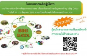 รูปภาพ : รับสมัครเข้าร่วมโครงการฝึกอบรมเชิงปฏิบัติการ 