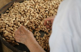 Image : Hot air dryer machine for peanut 