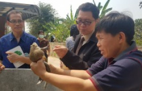 Image : Faculty of Science down to follow progress farmers who participate in the project in Lampang Province.