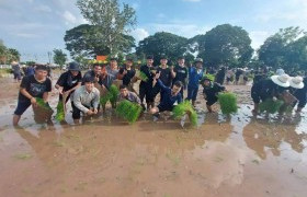 รูปภาพ : มหาวิทยาลัยเทคโนโลยีราชมงคลล้านนา  พิษณุโลก จัดโครงการรับน้องดำนา ถ่ายทอดความรู้และสืบสานวิถีการทำนาข้าว