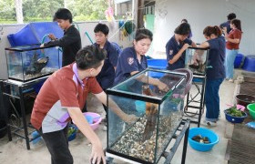 รูปภาพ : คณะวิทย์ฯ มทร.ล้านนา ลำปาง จัดโครงการส่งเสริมพัฒนาศักยภาพ สมรรถนะทางวิชาการและวิชาชีพของผู้เรียน เสริมสร้างคุณลักษณะบัณฑิตที่พึงประสงค์