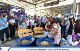 รูปภาพ : สถช.จัดการอบรมเชิงปฏิบัติการ หลักสูตร การเลี้ยงไก่ประดู่หางดำ