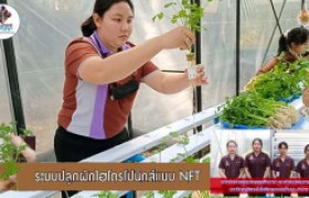 รูปภาพ : สื่อวีดีทัศน์องค์ความรู้ เรื่อง การปลูกผักไฮโดรโปนิกส์แบบ NFT (Nutrient Film Technique) 