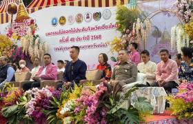 รูปภาพ : มทร.ล้านนา เข้าร่วมพิธีเปิดงาน และพิธีปล่อยขบวนรถบุปผชาติงานมหกรรมไม้ดอกไม้ประดับจังหวัดเชียงใหม่ ครั้งที่ 48 ประจำปี 2568