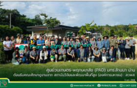 รูปภาพ : ศูนย์วนเกษตร-พฤกษเภสัช (PAD) มทร.ล้านนา น่าน ต้อนรับคณะศึกษาดูงานจาก สถาบันวิจัยและพัฒนาพื้นที่สูง (องค์การมหาชน) : สวพส.