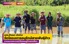 รูปภาพ : มทร.ล้านนา ลำปาง จัดโครงการอนุรักษ์สายพันธุ์ข้าว ตามแนวพระราชดำริเศรษฐกิจพอเพียง  