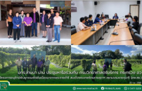 รูปภาพ : มทร.ล้านนา น่าน ประชุมหารือร่วมกับ กรมวิทยาศาสตร์บริการ กระทรวง อว. โครงการอนุรักษ์พันธุกรรมพืชอันเนื่องมาจากพระราชดำริ สมเด็จพระเทพรัตนราชสุดาฯ สยามบรมราชกุมารี (อพ.สธ.)