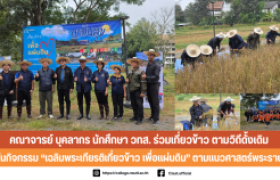 รูปภาพ : คณาจารย์ บุคลากร นักศึกษา วทส. ร่วมเกี่ยวข้าวตามวิธีดั้งเดิม ในกิจกรรม เฉลิมพระเกียรติเกี่ยวข้าว เพื่อแผ่นดิน ตามแนวศาสตร์พระราชา