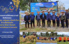 รูปภาพ : กลุ่มแผนงานใต้ร่มพระบารมี จัดกิจกรรม นาปันสุข เฉลิมพระเกียรติเกี่ยวข้าวเพื่อแผ่นดิน  สืบสาน รักษา ต่อยอด ด้านการพัฒนาการเกษตร ณ ศูนย์เรียนรู้เศรษฐกิจพอเพียง มทร.ล้านนา (ดอยสะเก็ด)