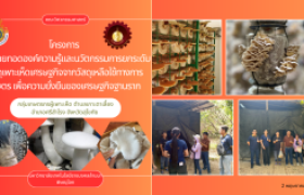 รูปภาพ : กลุ่มนักวิจัย คณะวิศวกรรมศาสตร์ มทร.ล้านนา พิษณุโลก ลงพื้นที่ศึกษาวิเคราะห์ปัจจัยที่ส่งผลต่อการผลิตเชื้อเห็ด ณ กลุ่มเกษตรกรผู้เพาะเห็ด ตำบลเกาะตาเลี้ยง อำเภอศรีสำโรง จังหวัดสุโขทัย