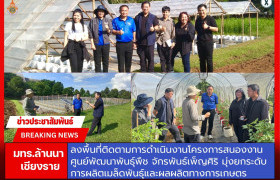 รูปภาพ : มทร.ล้านนา เชียงราย ลงพื้นที่ติดตามการดำเนินงานโครงการสนองงานศูนย์พัฒนาพันธุ์พืชจักรพันธ์เพ็ญศิริ มุ่งยกระดับการผลิตเมล็ดพันธุ์และผลผลิตทางการเกษตร