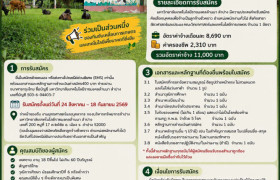 รูปภาพ : ม.ราชมงคลล้านนา ลำปาง เปิดรับสมัครพนักงานทั่วไป 1 อัตรา (ขยาย)