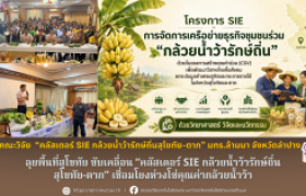 รูปภาพ : คณะวิจัย มทร.ล้านนา ลำปาง ลุยพื้นที่สุโขทัย ขับเคลื่อน “คลัสเตอร์ SIE กล้วยน้ำว้ารักษ์ถิ่นสุโขทัย-ตาก” เชื่อมโยงห่วงโซ่คุณค่ากล้วยน้ำว้า