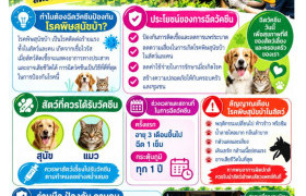 รูปภาพ : สมาคมศิษย์เก่าแม่วัง ชวนร่วมกิจกรรม “สัตวบาลอาสา” ฉีดวัคซีนสุนัข–แมวฟรี ร่วมสร้างภูมิคุ้มกัน ป้องกันโรคพิษสุนัขบ้าสู่ชุมชน