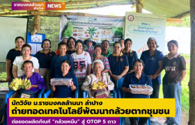 รูปภาพ : นักวิจัย ม.ราชมงคลล้านนา ลำปาง  ถ่ายทอดเทคโนโลยีพัฒนากล้วยตากชุมชน ต่อยอดผลิตภัณฑ์ “กล้วยหนึบ” สู่ OTOP 5 ดาว