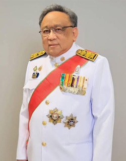 ศาสตราจารย์พิเศษธงทอง จันทรางศุ 